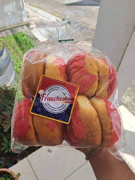Semita Concha Mexicana